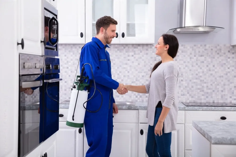 Pest Control Experts - Jurupa Valley Best Pest Pros | Jurupa Valley, CA | 951-336-1779