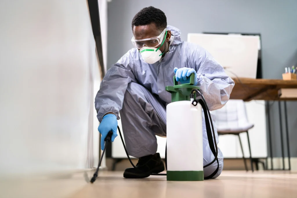 Trusted Pest Control - Jurupa Valley Best Pest Pros | Jurupa Valley, CA | 951-336-1779
